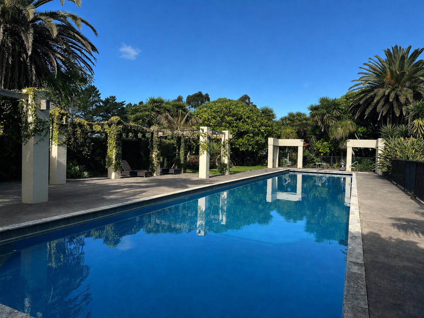 The pool in full sun, pergola and loungers along one side